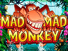 Ігровий автомат Божевільна Божевільна Мавпочка від компанії Мікрогеймінг